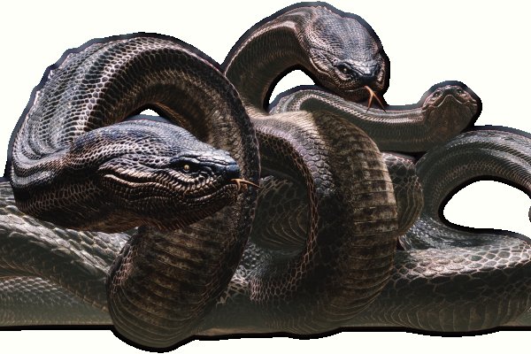 Kra35.cc