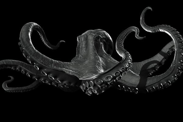 Kraken ссылка kraken clear com