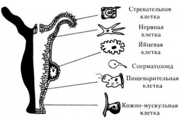 Кракен ссылка на тор официальная онион