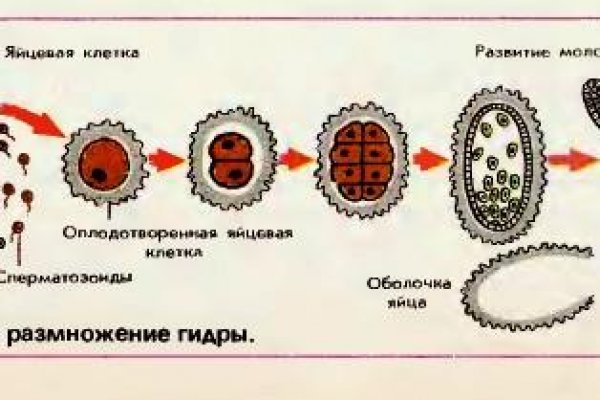 Как вернуть аккаунт кракен