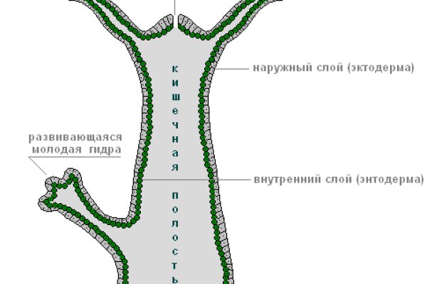 Кракен через тор