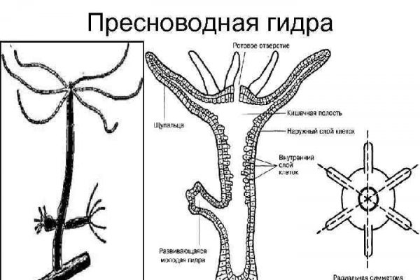 Как пополнить баланс кракен