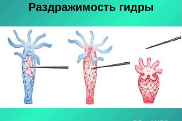 Кракен сайт что это