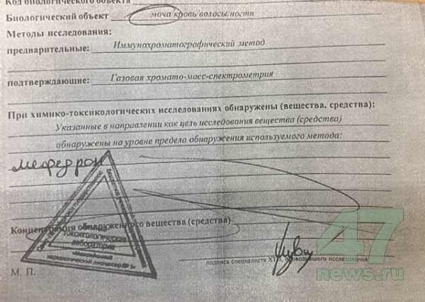 Сайт кракен тор браузера